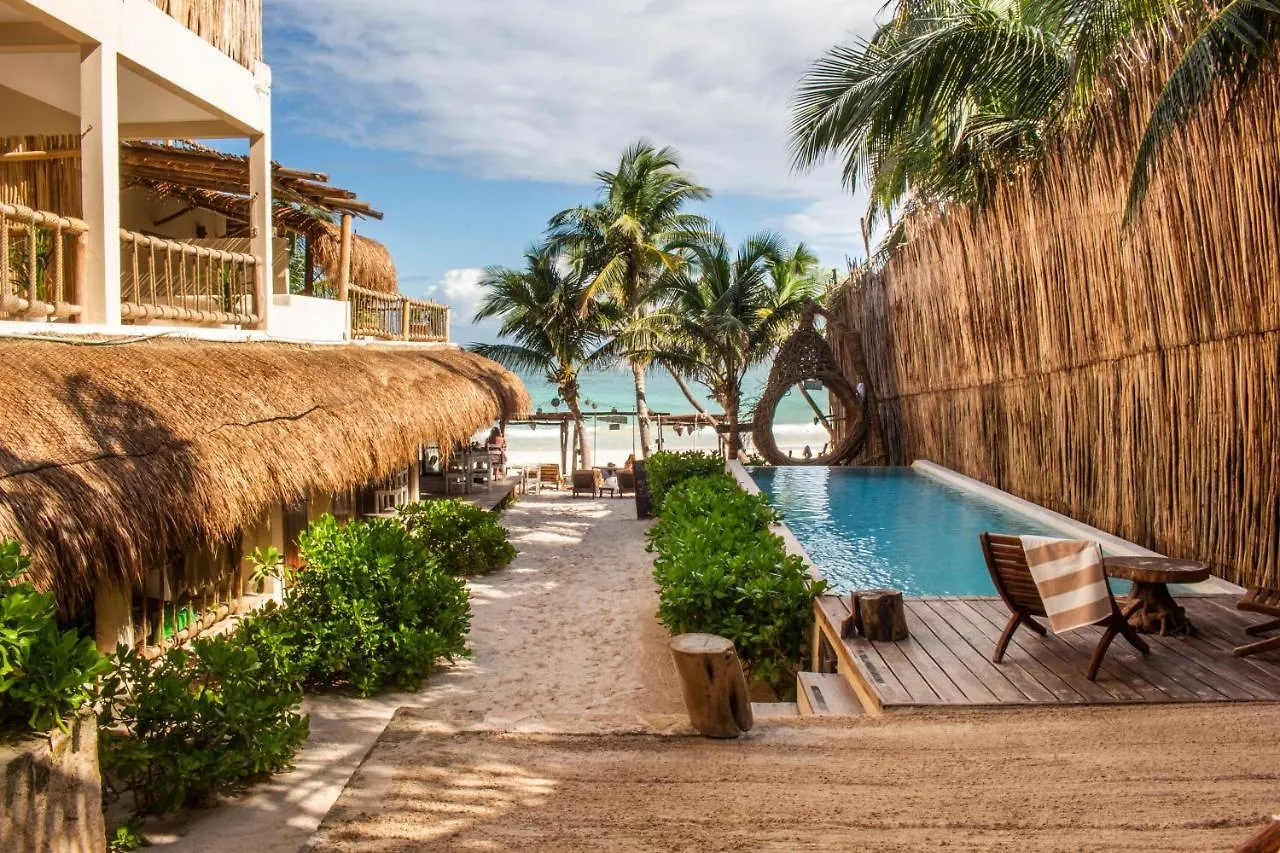 Dune Boutique Hotel Located At The Party Zone (Adults Only) location